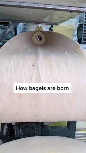 Bagelmania on TikTok