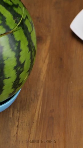 Cool and Easy Way to Make a Watermelon Lemonade | 5-Minute Recycle