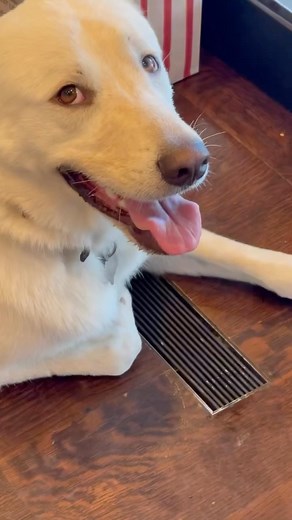 Jennifer Aniston on Instagram