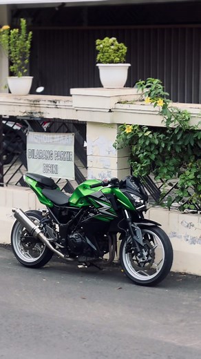 Ninja Z250 Touring and Custom Modifications