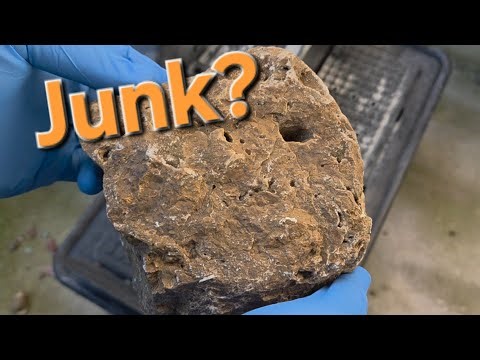 #23 Rock Cut Quickie, Junk or Not Junk?