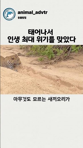 태어나서 인생 최대 위기를 맞았다