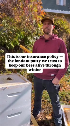 1.1K views · 364 reactions | Winter doesn’t forgive guessing. If...