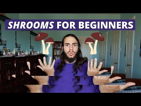 How to Use Magic Mushrooms for Beginners