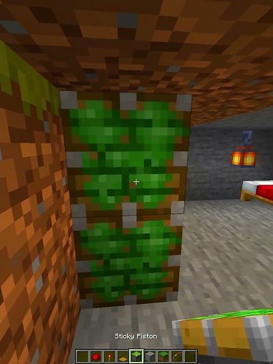 Minecraft Arrow Door🤯