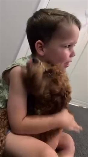 Oodle Lodge on Instagram: "Update-“WINNIE”💝🐾#oodlelodgefamilies #cavoodle #oodlelodgecavoodle “She is the most beautiful dog with the loveliest nature, and she brings us so much joy. Winnie and our son are inseparable - it’s so cute!”🥰"