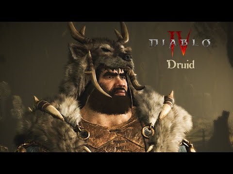 Diablo IV action gameplay - Druid