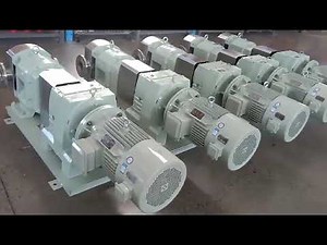 Video About Stainless Steel 3RP Sanitary High Viscosity Rotary Rotor Pump