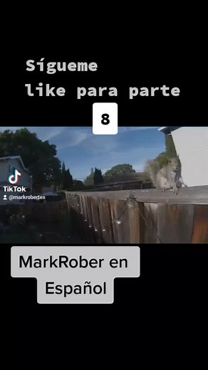 laberinto de ardillas 1.0 parte 7 #MarkRoberenES #markrober #ardillas