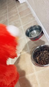 16K views · 1K reactions | Elmo has discovered he doesn’t like dog food! - - #elmomemes #elmo #funnyvideos #doghumor - - - - Cr @logeypump23 | Britmanspeaks | Facebook