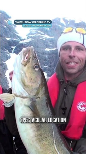 Catching giant cod from a glacier! - ‘Land of the Midnight Sun’ on FishingTV