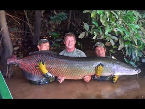 ARAPAIMA PARADISE LODGE - BOLIVIA