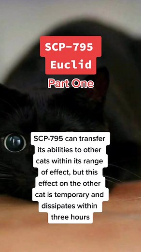 SCP-795 Object Class- Euclid#greenscreen #scp #cattok #scplore #scarytok #fypシ
