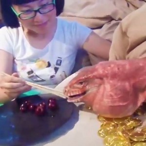 1.7M views · 4.7K reactions | Did you know that couch dragons love cherries? https://www.instagram.com/p/BHLxPTtj8Rx/ | MacGyver the Lizard | Facebook