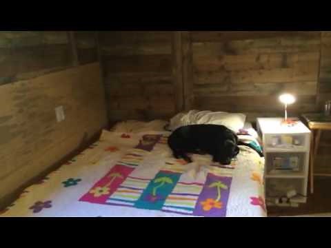 DIY Tiny House: Converting a Storage Shed into a Tiny Home: Neat and cheap idea for the ceiling!