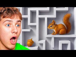He Built a SQUIRREL MAZE in His BACKYARD