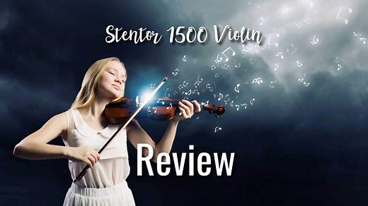 Stentor 1500 4/4 Violin Review | NewViolinist