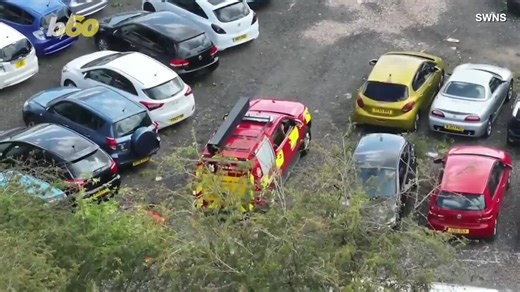 How a drone helped rescuers locate a missing pony just in time