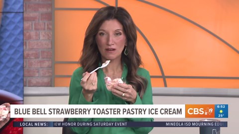 Morning Y'all tries Blue Bell's new Strawberry Toaster Pastry ice cream