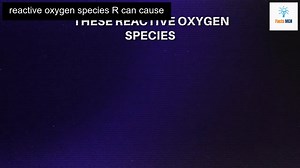 Discover How Aging Really Works and Transform Your Life Forever!