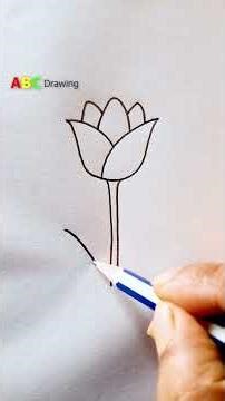 Easy Tulip Flower Drawing Tutorial