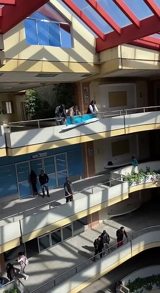 ¿Qué es la Animación Digital? Innovación y Multimedia