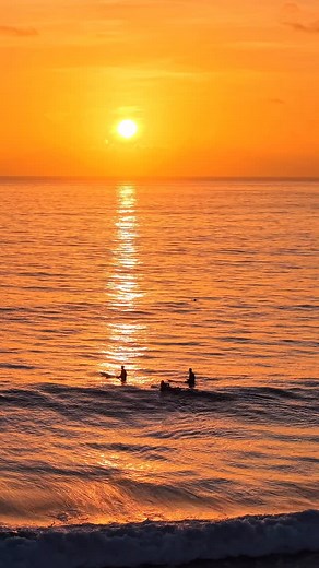 1.1K views · 48 reactions | Endless Summer #sunrise #surfing #surfer #jupiter #florida #buzzabove | Sam Horrocks | Facebook