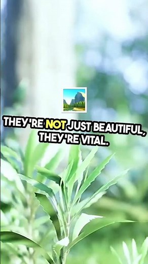 Why Trees Are Essential for Life | The Importance of Trees Explained