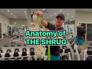 Anatomy of the Shoulder Shrug Exercise