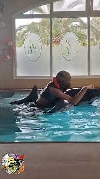 Popping inflatable toy shark in pool