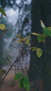 294 reactions · 16 shares | Keeps everything you want exactly where you need it. If you run the GlassPak™ Pro Binocular Harness, you now have the ability to carry a lot more than just your binoculars. | Vortex Optics | Facebook