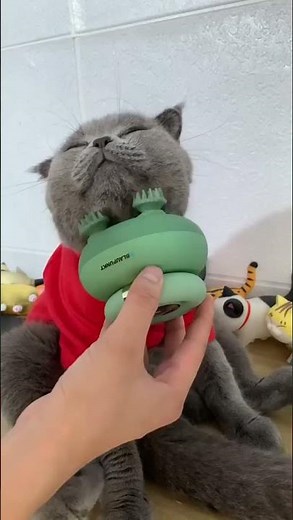 Loveble Cat Pet Electric Scalp Massager for Hair Growth Blood Circulation, Cat Massager #shorts