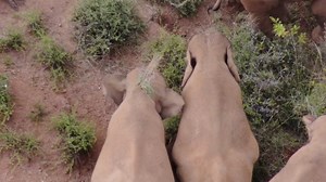 569K views · 3.7K reactions | As the weather gets hotter in southwest...