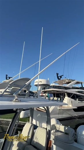 1-Minute Walkthru: Freeman 29 Power Cat #FLIBS2025 #shorts