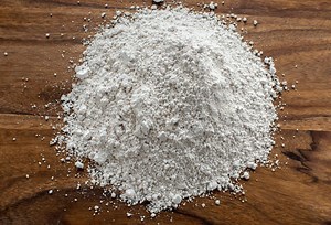 The Best Way to Apply Diatomaceous Earth - Gardening Dream