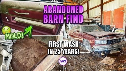 Forgotten Chevy Caprice receives first wash after twenty five years