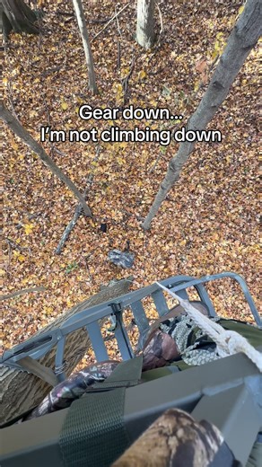 I’d go get it if I wasn’t in a climber. Oh well, enjoy a hunt without filming like the old days! #hunting #whitetail #thehuntingjunkie | The Hunting Junkie