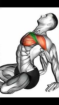 How to Build a Bigger Upper Chest | Best Routines for Strength & Sculpted Shape. #upperchestworkout