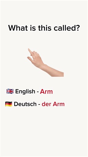 Body Parts in English & Deutsch 🚶‍♂️✨##shorts #education #vocabulary
