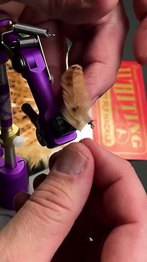 Fly Fish Food on Instagram: "Whiting Red Label Hen Saddles make awesome soft hackle flies. They tie several sizes and come in several different colors. Check them out! They are linked in our bio. #flyfishing #flytying #flyfishfood"