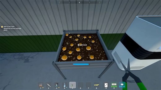 Schedule 1: Best Shroom Growing Layout