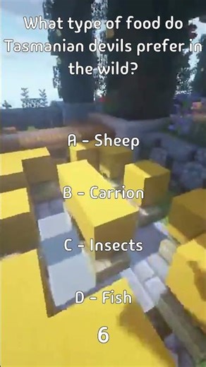 What type of food do Tasmanian devils prefer in the wild?