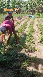 2.2M views · 38K reactions | Gin paham@k mo gid kmi ni boklan boy. tulog2x timo lng, na k@stigo don kmi ni tets #ilonggobloger #ThisVideoIsForEntertainmentPurposesOnLy #viralreelsシ #justforfun #relatable #contentcreatorcommunity | Bonz TV | Facebook