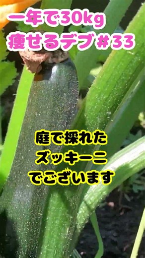 1日1時間歩いたらこうなった33週目【ダイエット 脂肪肝】