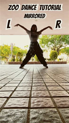 Zoo dance mirrored tutorial🐰🦊