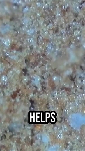 Unbox/Microscope: Pine Bark Extract (Biogenique)