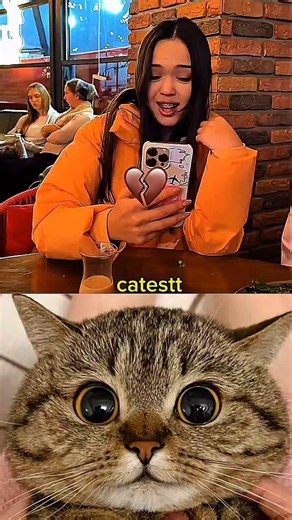 #relatable #cat 🤣