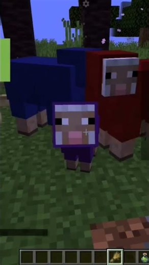 minecraft aga ciro madidala #minecraft
