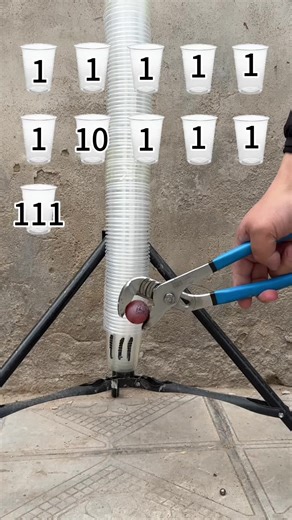 Fascinating Experiments for a Satisfying Experience