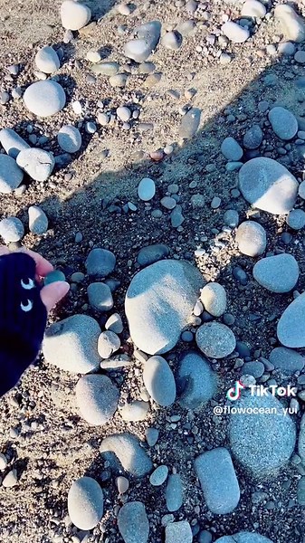 美しいシーグラスの発見